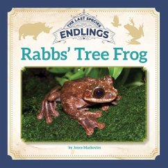 Rabbs' Tree Frog - Markovics, Joyce