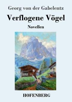 Verflogene Vögel - Gabelentz, Georg von der