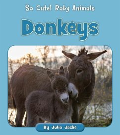 Donkeys - Jaske, Julia