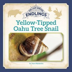 Yellow-Tipped Oahu Tree Snail - Markovics, Joyce