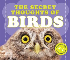 The Secret Thoughts of Birds - Rose, Cj