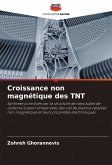 Croissance non magnétique des TNT