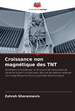 Croissance non magnétique des TNT - Ghorannevis, Zohreh