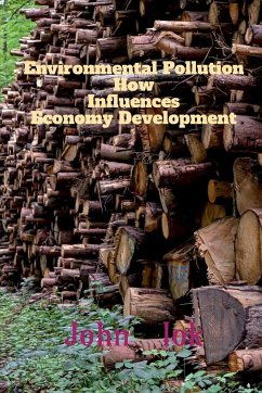 Environmental Pollution How Influences Economy Development - Lok, John
