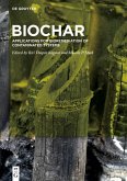 BioChar (eBook, ePUB)