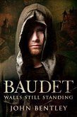 Baudet (eBook, ePUB)