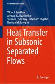 Heat Transfer in Subsonic Separated Flows (eBook, PDF)