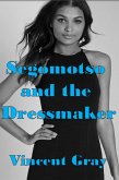Segomotso And The Dressmaker (eBook, ePUB)