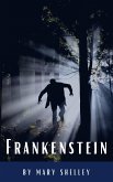 Frankenstein (eBook, ePUB)