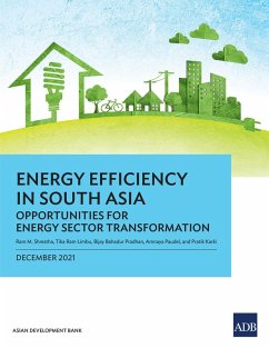 Energy Efficiency in South Asia (eBook, ePUB)