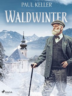 Waldwinter (eBook, ePUB) - Keller, Paul