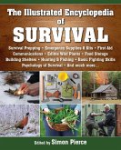 The Illustrated Encyclopedia of Survival (eBook, ePUB)