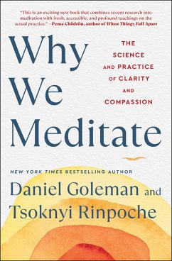 Cover Why We Meditate (eBook, ePUB)