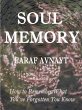 Soul Memory (eBook, ePUB) - Bild 1