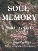Soul Memory (eBook, ePUB)