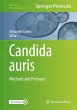 Candida auris - Bild 1