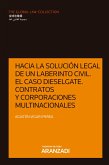 Hacia la solución legal de un laberinto civil. El caso Dieselgate. Contratos y corporaciones multinacionales (eBook, ePUB)