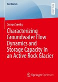 Characterizing Groundwater Flow Dynamics and Storage Capacity in an Active Rock Glacier