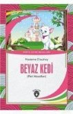 Beyaz Kedi