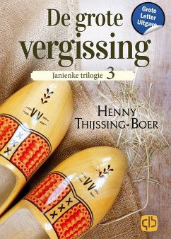 Cover De grote vergissing