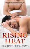 Rising Heat (eBook, ePUB)