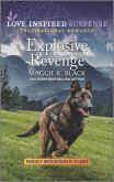Explosive Revenge (eBook, ePUB)