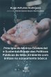 Princípio do Mínimo Existencial e... - Bild 1