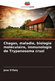 Chagas, maladie, biologie moléculaire, immunologie de Trypanosoma cruzi