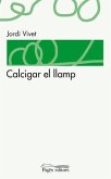 Calcigar el llamp