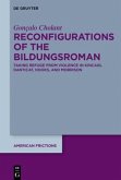 Reconfigurations of the Bildungsroman