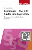 Grundlagen - SGB VIII: Kinder- und Jugendhilfe (eBook, PDF)