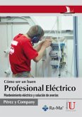 Cómo ser un buen profesional eléctrico (eBook, PDF)
