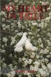My Heart In Exile - Bild 1
