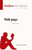 Petit pays de Gael Faye (Analyse de l'¿uvre)