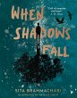 When Shadows Fall (eBook, ePUB) - Bild 1
