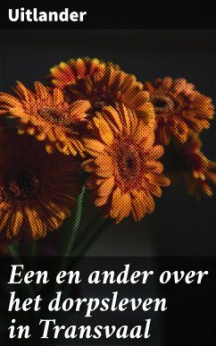 Een en ander over het dorpsleven in Transvaal (eBook, ePUB) - Uitlander