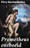 Prometheus ontboeid (eBook, ePUB)
