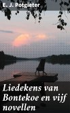 Liedekens van Bontekoe en vijf novellen (eBook, ePUB)