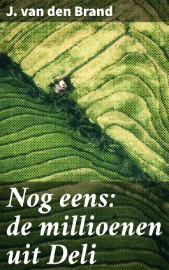 Nog eens: de millioenen uit Deli (eBook, ePUB) - Brand, J. van den