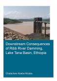 Downstream Consequences of Ribb River Damming, Lake Tana Basin, Ethiopia (eBook, ePUB)