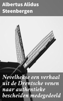 Nevelhekse een verhaal uit de Drentsche venen naar authentieke bescheiden medegedeeld (eBook, ePUB) - Steenbergen, Albertus Alidus