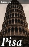Pisa (eBook, ePUB)