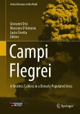 Campi Flegrei (eBook, PDF)