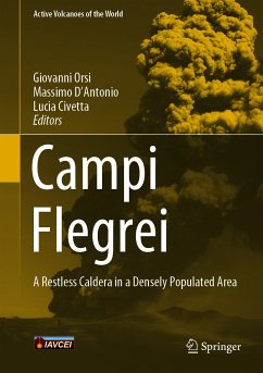 Campi Flegrei (eBook, PDF)