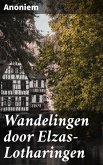 Wandelingen door Elzas-Lotharingen (eBook, ePUB)