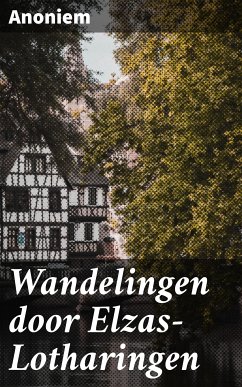 Wandelingen door Elzas-Lotharingen (eBook, ePUB) - Anoniem