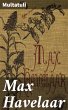 Max Havelaar (eBook, ePUB) - Bild 1
