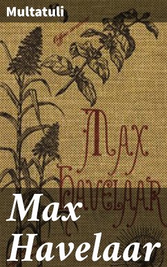 Max Havelaar (eBook, ePUB) - Multatuli