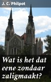 Wat is het dat eene zondaar zaligmaakt? (eBook, ePUB)