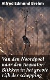 Van den Noordpool naar den Aequator: Blikken in het groote rijk der schepping (eBook, ePUB)